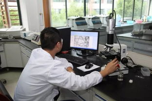 義烏開(kāi)展襯衫生產(chǎn)企業(yè)質(zhì)量分析測(cè)試專(zhuān)項(xiàng)活動(dòng)，技術(shù)服務(wù)助力產(chǎn)業(yè)升級(jí)