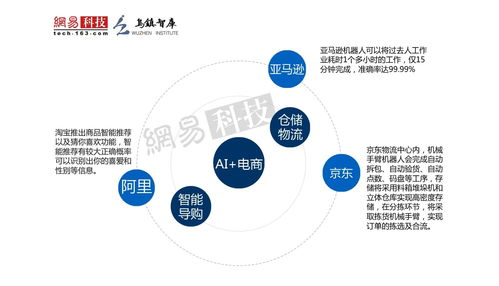 2016全球人工智能發展報告 產業與應用篇之人工智能應用軟件開發